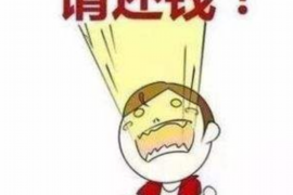 吉安融资清欠服务